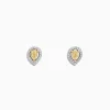 Earrings|Effy Jewelry Canare 18K Two Tone Gold Pear Halo Yellow Diamond Stud Earrings, 0.36 TCW